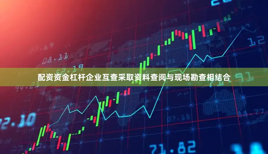 配资资金杠杆企业互查采取资料查阅与现场勘查相结合