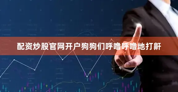 配资炒股官网开户狗狗们呼噜呼噜地打鼾